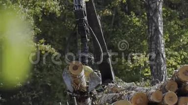 原木抓斗者把原木从地上抬起来。 为工业生产砍伐森林，机械夹持器装载